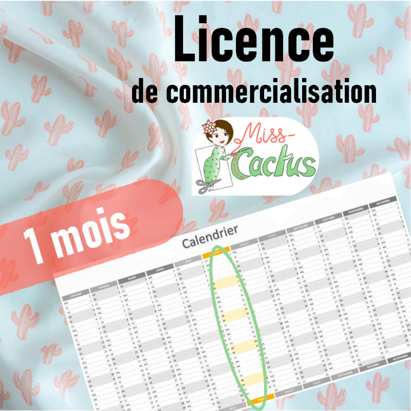1 mois de licence de commercialisation Miss Cactus