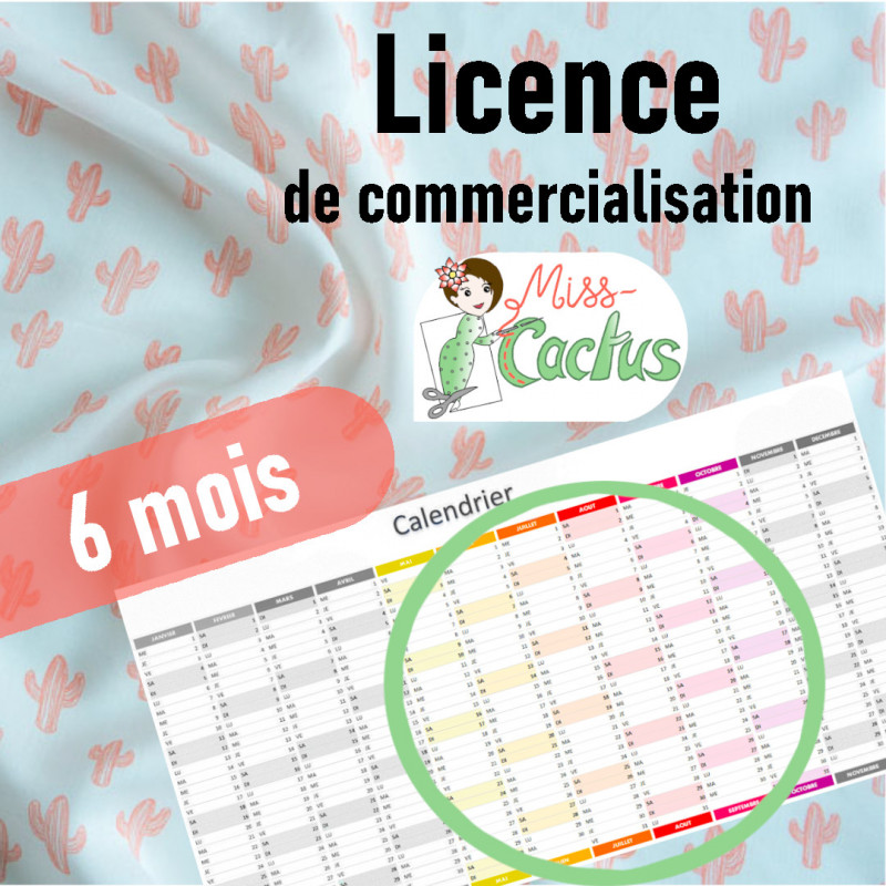 6 mois de licence de commercialisation Miss Cactus