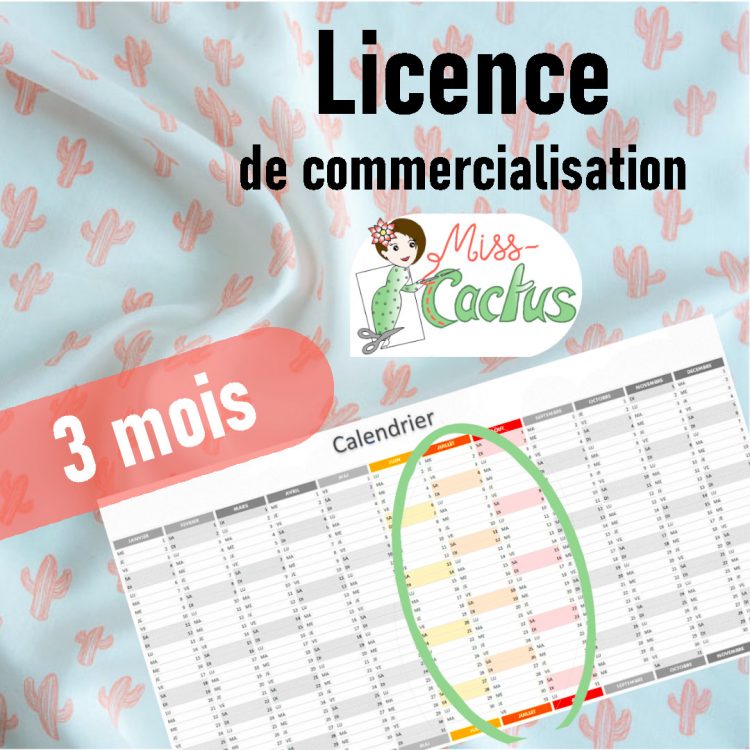 Illustration de l'article "Nouveau : vendez vos réalisations issues de patrons Miss Cactus grâce aux licences de commercialisation"