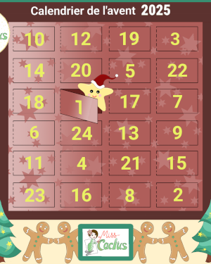 Calendrier de l'avent Miss Cactus